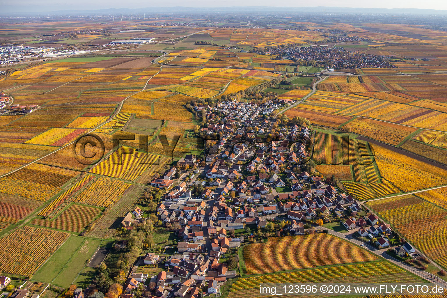 Vue aérienne de Kleinkarlbach dans le département Rhénanie-Palatinat, Allemagne