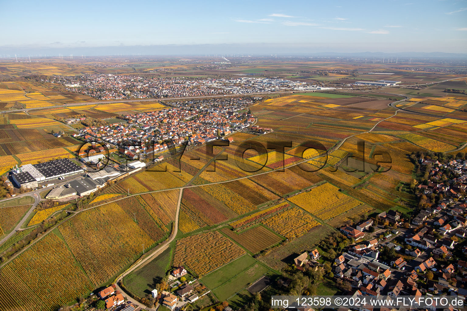 Vue aérienne de Vue sur le village à le quartier Sausenheim in Grünstadt dans le département Rhénanie-Palatinat, Allemagne