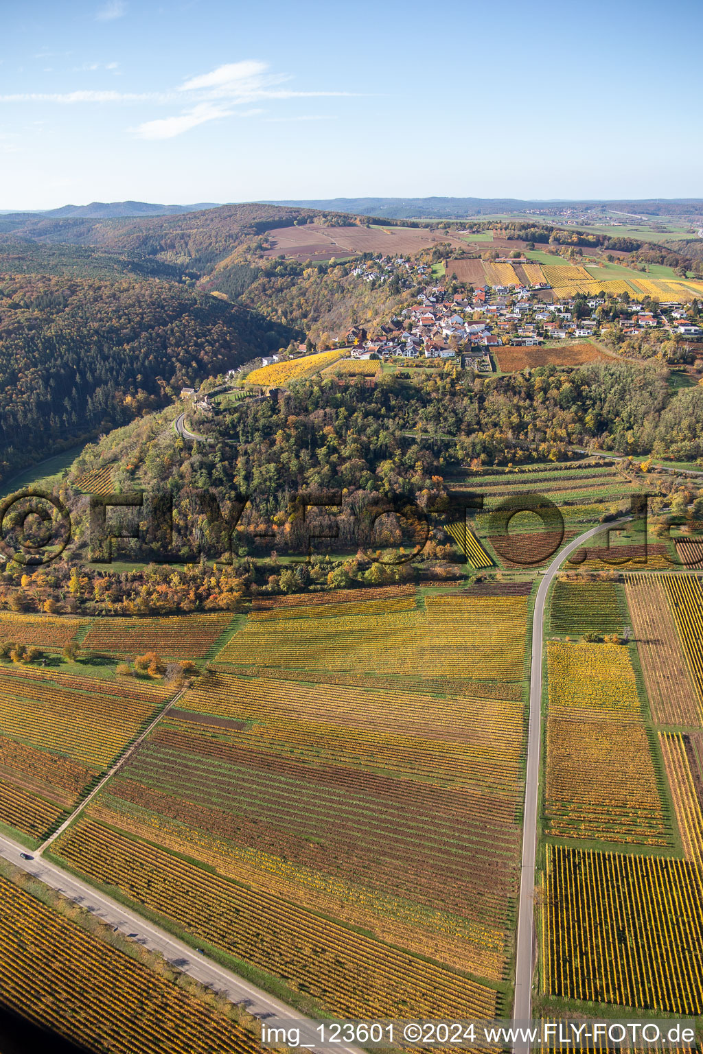 Vue aérienne de Végétation décolorée automnale vue paysage viticole des zones viticoles (Palatinat) à Battenberg dans le département Rhénanie-Palatinat, Allemagne