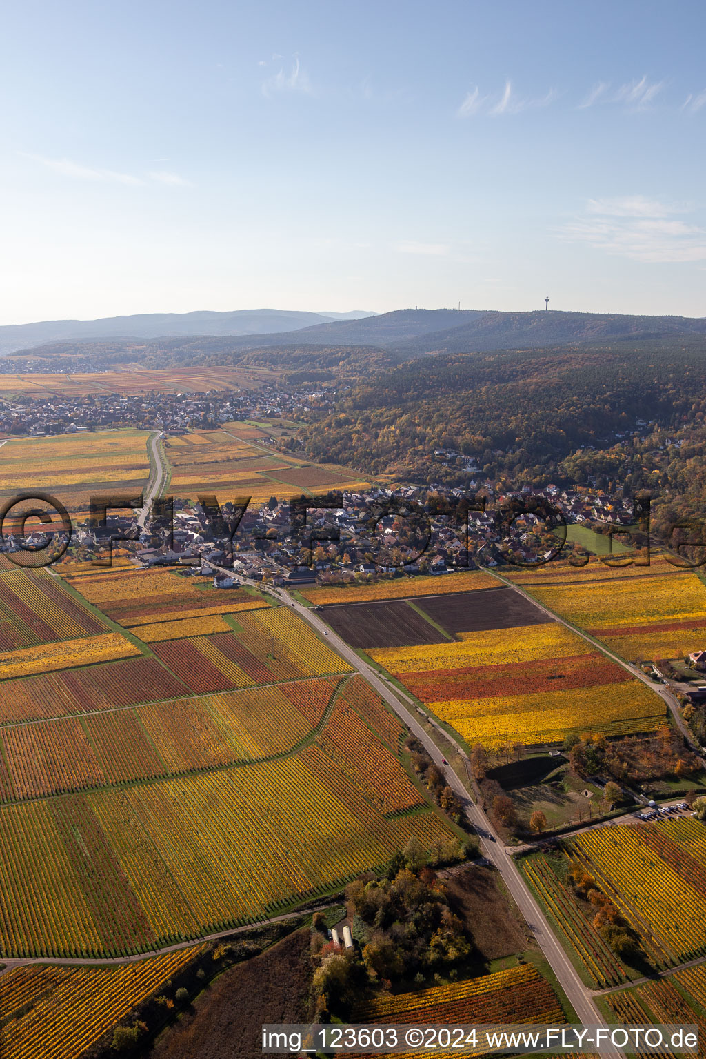 Vue aérienne de Quartier Bobenheim in Bobenheim am Berg dans le département Rhénanie-Palatinat, Allemagne