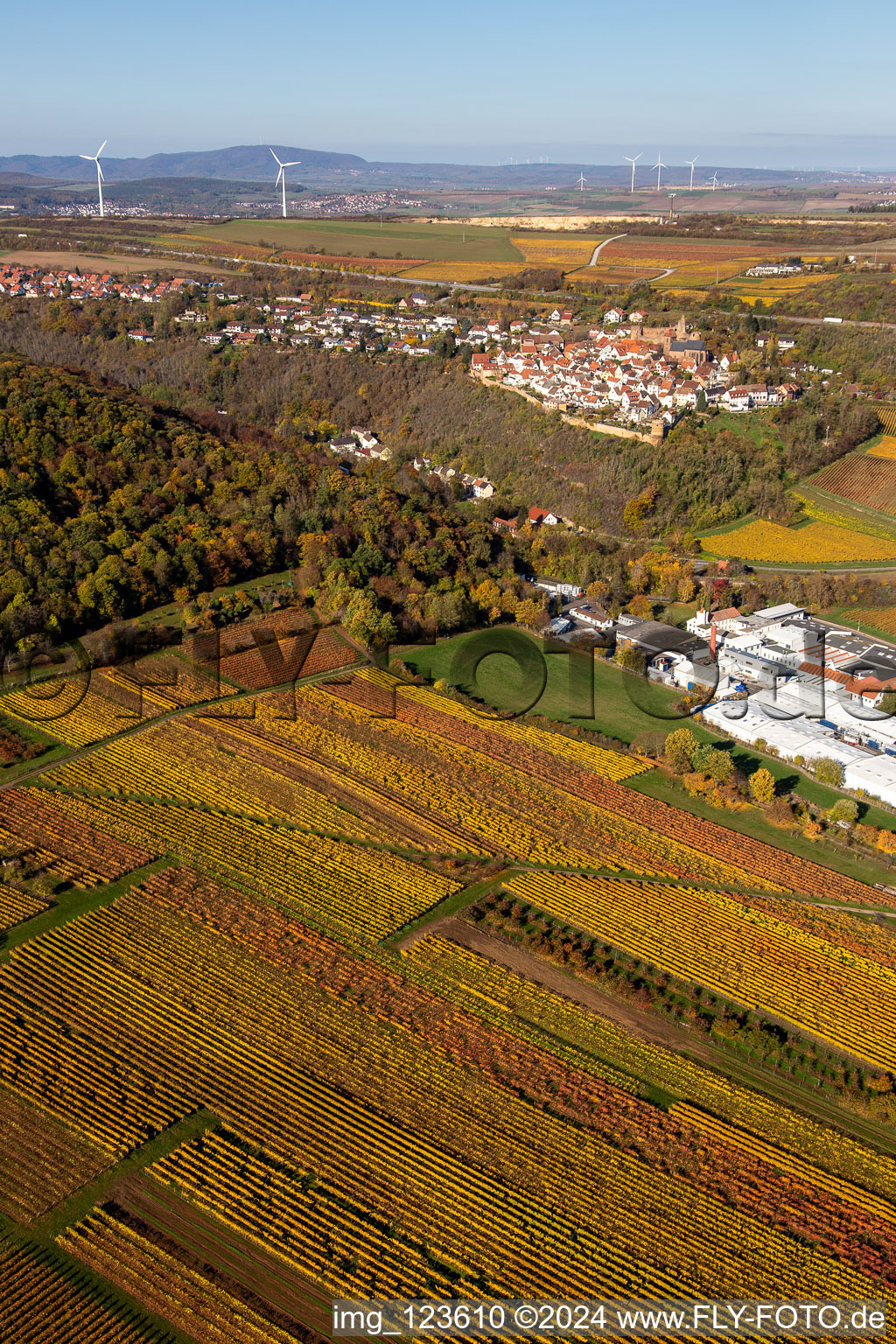 Vue aérienne de Vignobles décolorés d'automne au-dessus des halls de production de Gechem GmbH & Co. KG à Neuleiningen dans le département Rhénanie-Palatinat, Allemagne