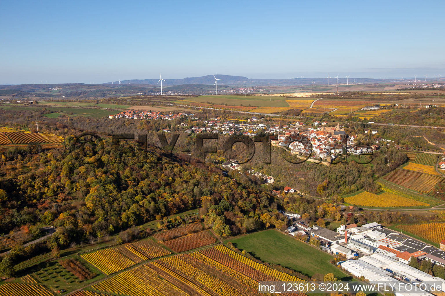 Vue aérienne de Vignobles décolorés d'automne au-dessus des halls de production de Gechem GmbH & Co. KG à Neuleiningen dans le département Rhénanie-Palatinat, Allemagne