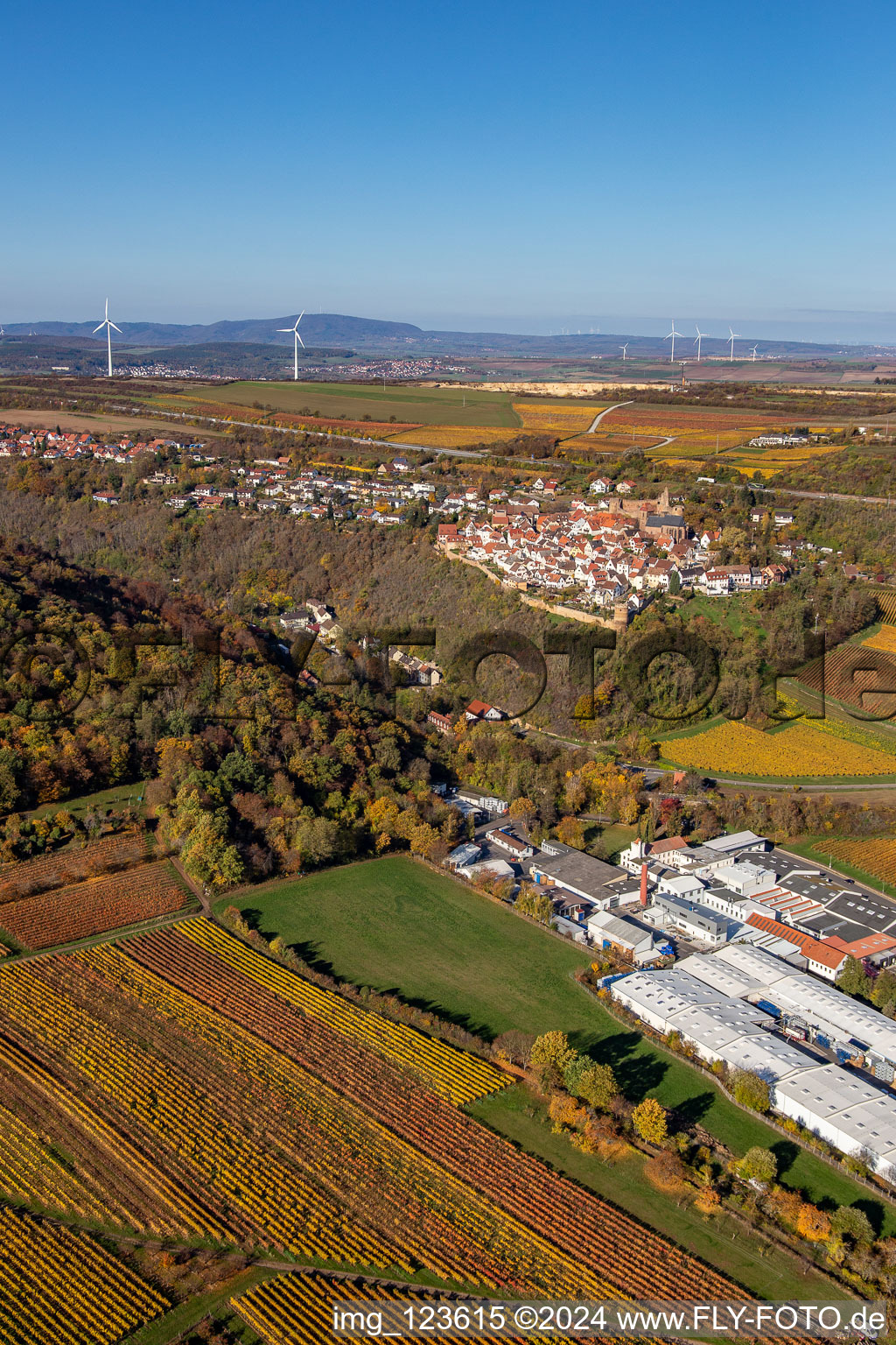 Photographie aérienne de Vignobles décolorés d'automne au-dessus des halls de production de Gechem GmbH & Co. KG à Neuleiningen dans le département Rhénanie-Palatinat, Allemagne