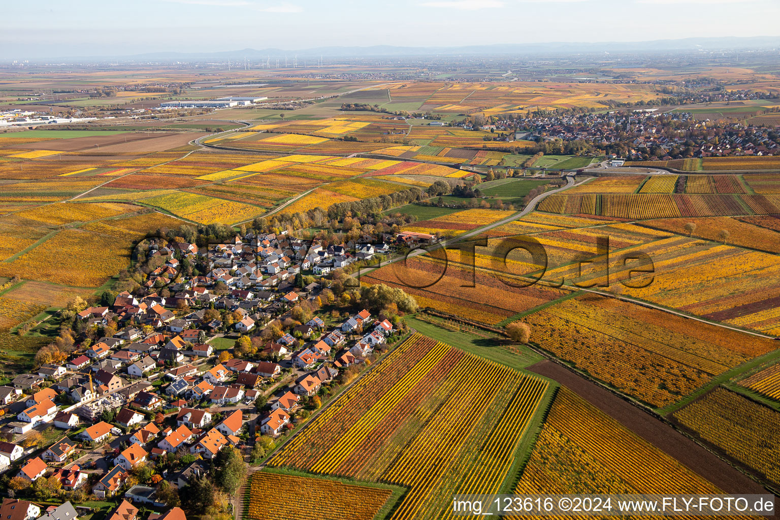 Photographie aérienne de Kleinkarlbach dans le département Rhénanie-Palatinat, Allemagne