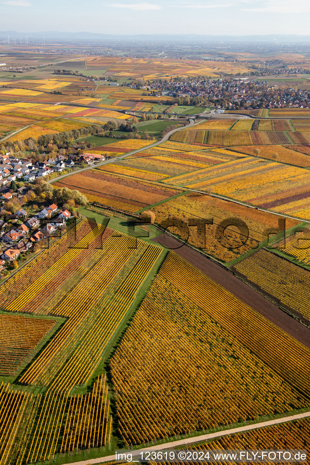 Vue oblique de Kleinkarlbach dans le département Rhénanie-Palatinat, Allemagne