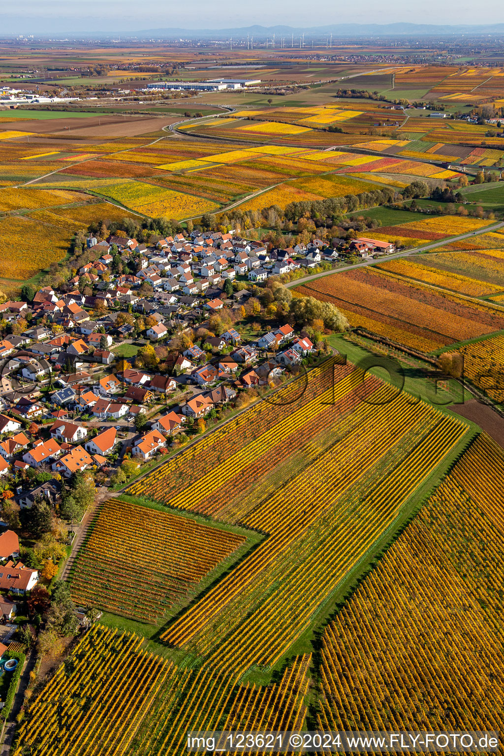 Kleinkarlbach dans le département Rhénanie-Palatinat, Allemagne d'en haut