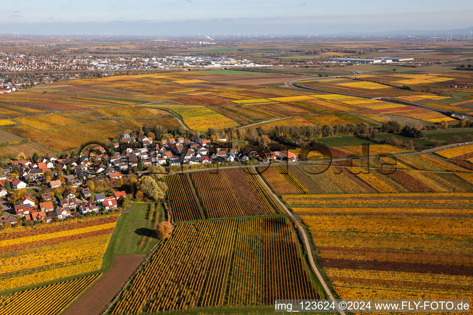 Kleinkarlbach dans le département Rhénanie-Palatinat, Allemagne hors des airs