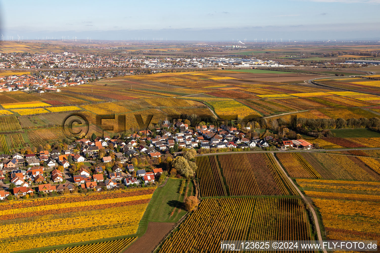 Kleinkarlbach dans le département Rhénanie-Palatinat, Allemagne vue d'en haut