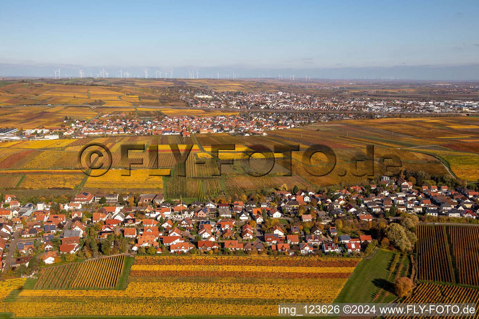 Vue aérienne de Vignes décolorées automnales entre Kleinkarlbach et Sausenheim à Kleinkarlbach dans le département Rhénanie-Palatinat, Allemagne