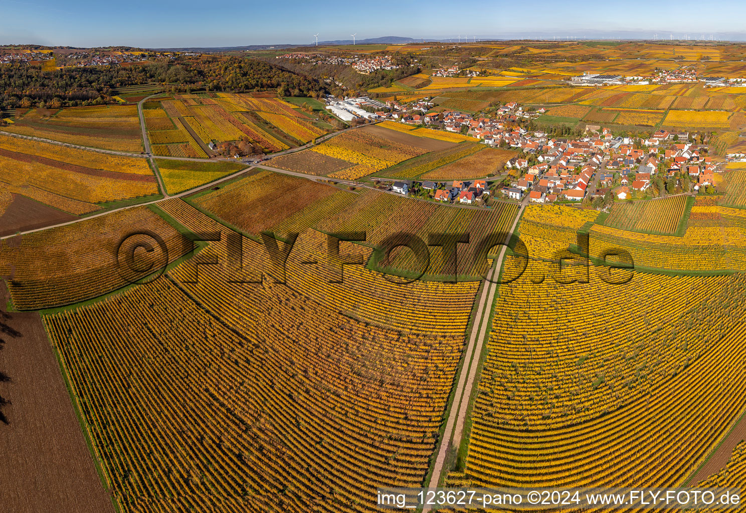 Kleinkarlbach dans le département Rhénanie-Palatinat, Allemagne depuis l'avion