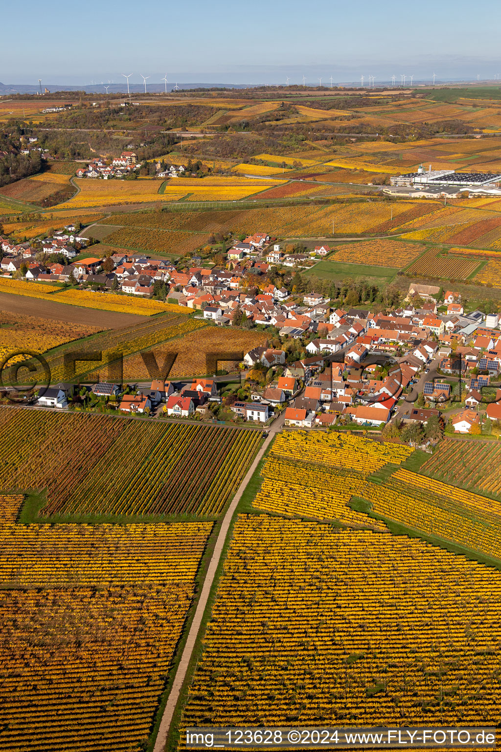 Kleinkarlbach dans le département Rhénanie-Palatinat, Allemagne vue du ciel