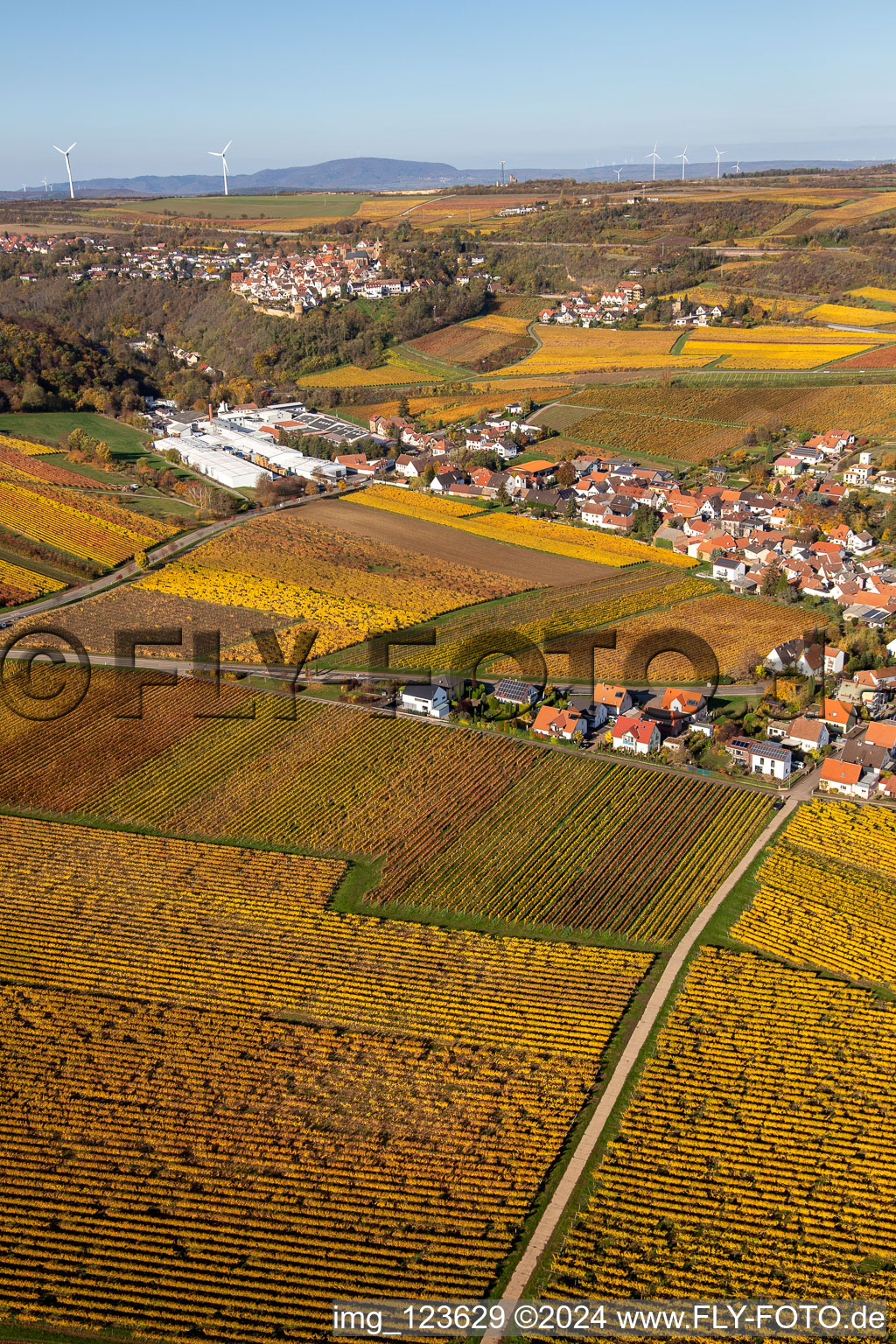 Enregistrement par drone de Kleinkarlbach dans le département Rhénanie-Palatinat, Allemagne