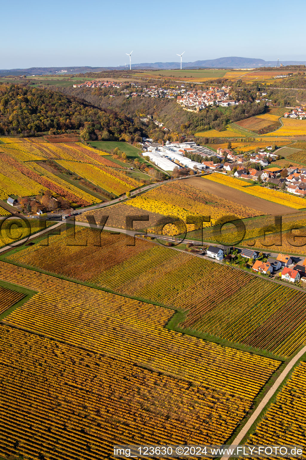 Image drone de Kleinkarlbach dans le département Rhénanie-Palatinat, Allemagne