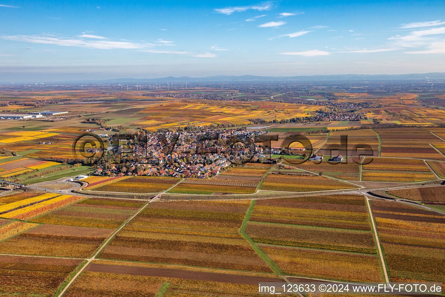 Vue automnale du village décoloré à Kirchheim an der Weinstraße dans le département Rhénanie-Palatinat, Allemagne vue d'en haut