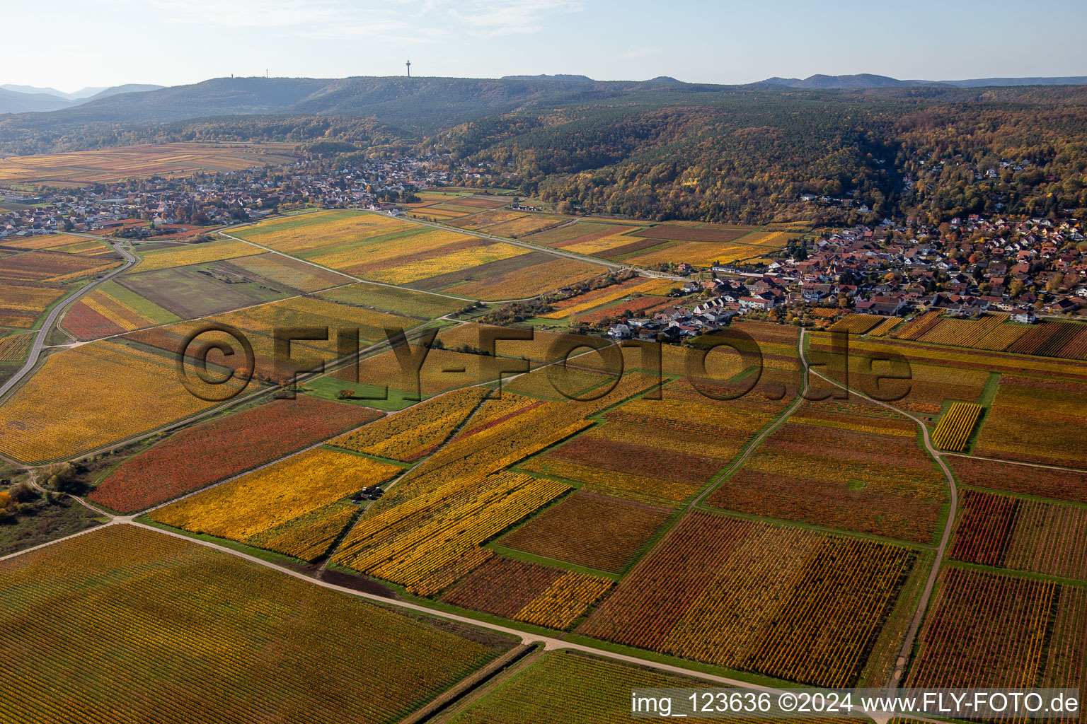 Vue aérienne de Vignobles décolorés d'automne autour des villes de la plaine du Rhin, en bordure du Haardt à le quartier Bobenheim in Bobenheim am Berg dans le département Rhénanie-Palatinat, Allemagne