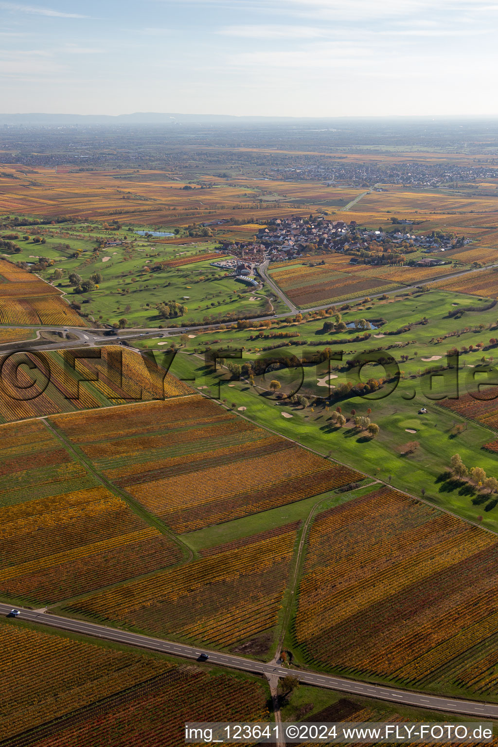 Golf Garden Route des vins allemande à Dackenheim dans le département Rhénanie-Palatinat, Allemagne d'en haut