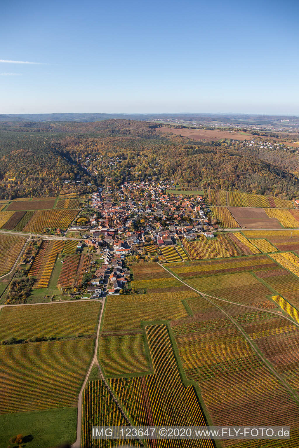 Vue aérienne de Vignobles décolorés d'automne dans la plaine du Rhin, en bordure du Haardt à Bobenheim am Berg dans le département Rhénanie-Palatinat, Allemagne