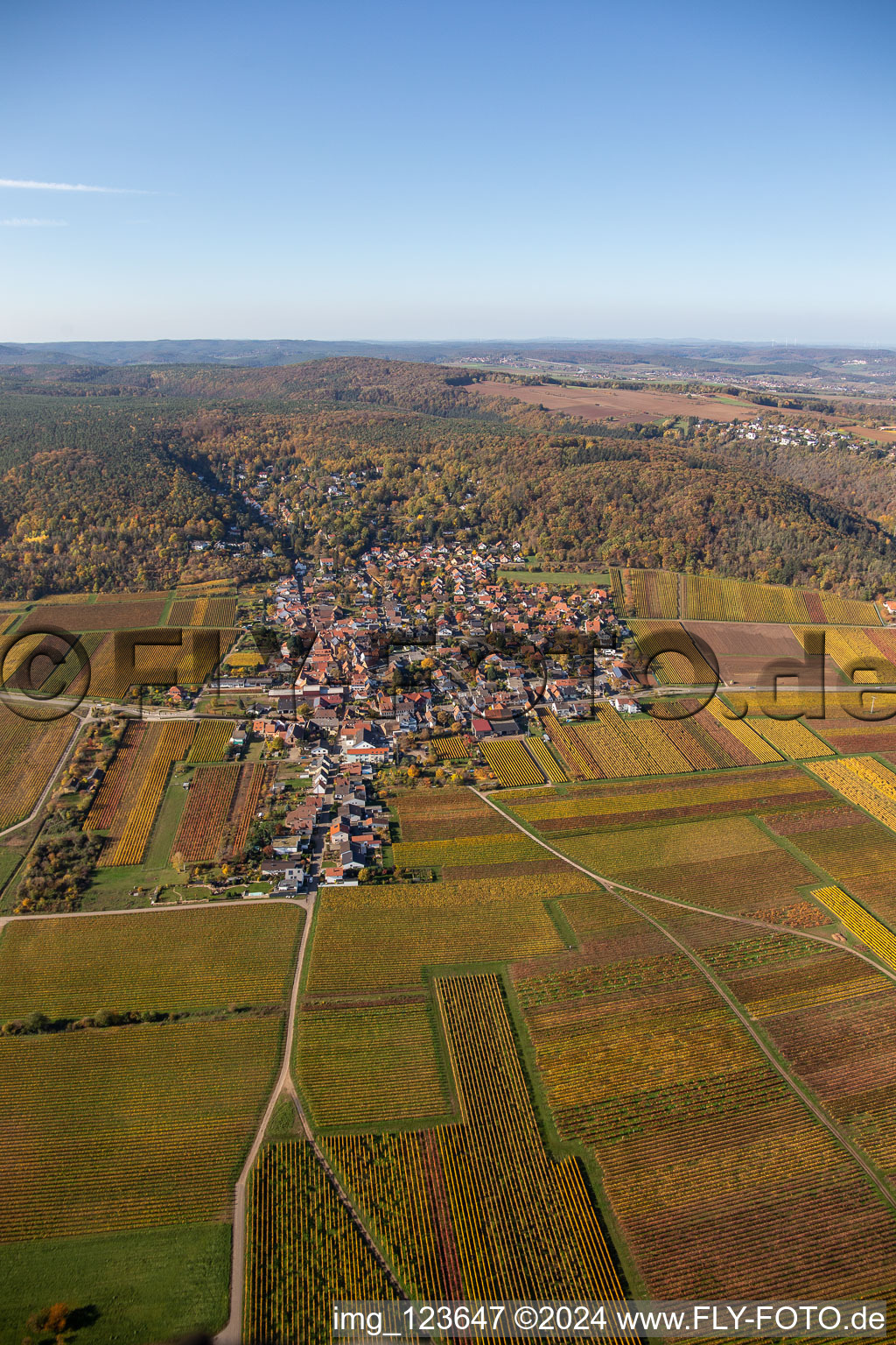 Vue aérienne de Vignobles décolorés d'automne dans la plaine du Rhin, en bordure du Haardt à le quartier Bobenheim in Bobenheim am Berg dans le département Rhénanie-Palatinat, Allemagne