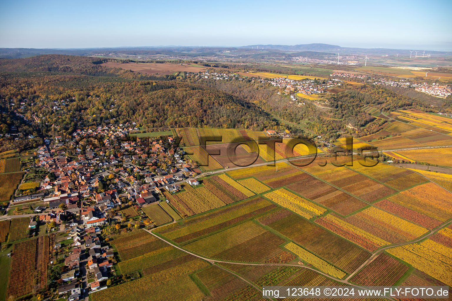 Vue aérienne de Quartier Bobenheim in Bobenheim am Berg dans le département Rhénanie-Palatinat, Allemagne