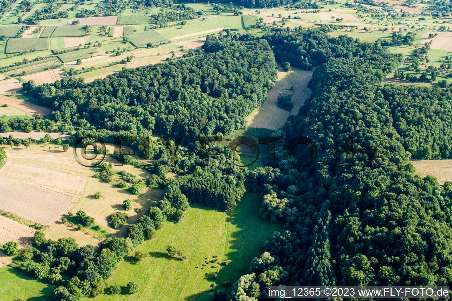 Réserve naturelle de Kettelbachtal à Gräfenhausen dans le département Bade-Wurtemberg, Allemagne du point de vue du drone