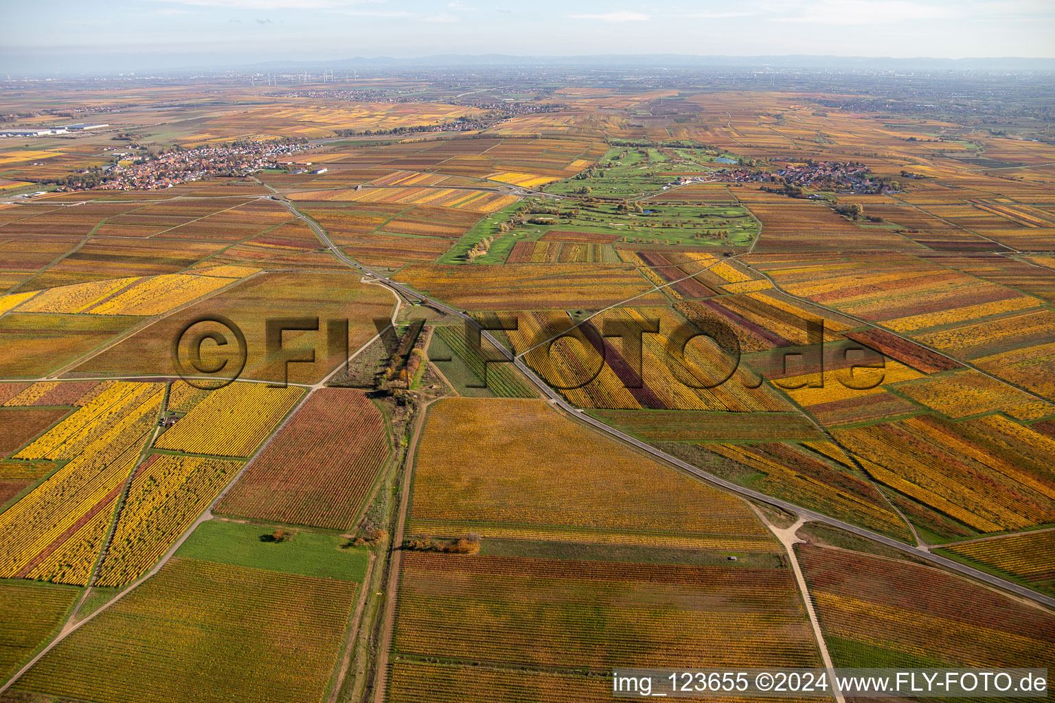 Vue aérienne de Vue sur la végétation automnale décolorée du terrain de golf Golfgarten Deutsche Weinstraße - Dackenheim - GOLF absolu à Dackenheim dans le département Rhénanie-Palatinat, Allemagne