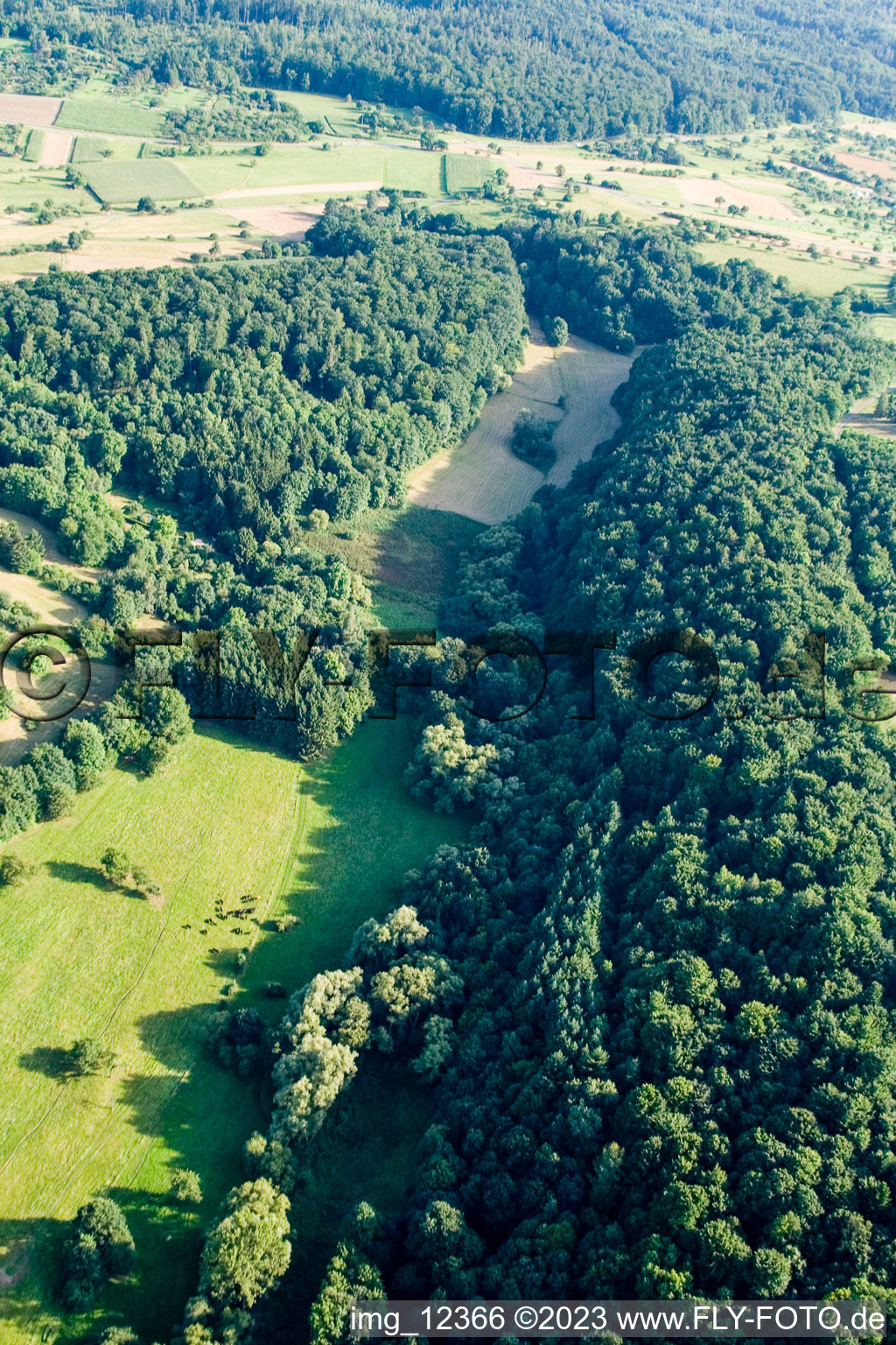 Réserve naturelle de Kettelbachtal à Gräfenhausen dans le département Bade-Wurtemberg, Allemagne d'un drone