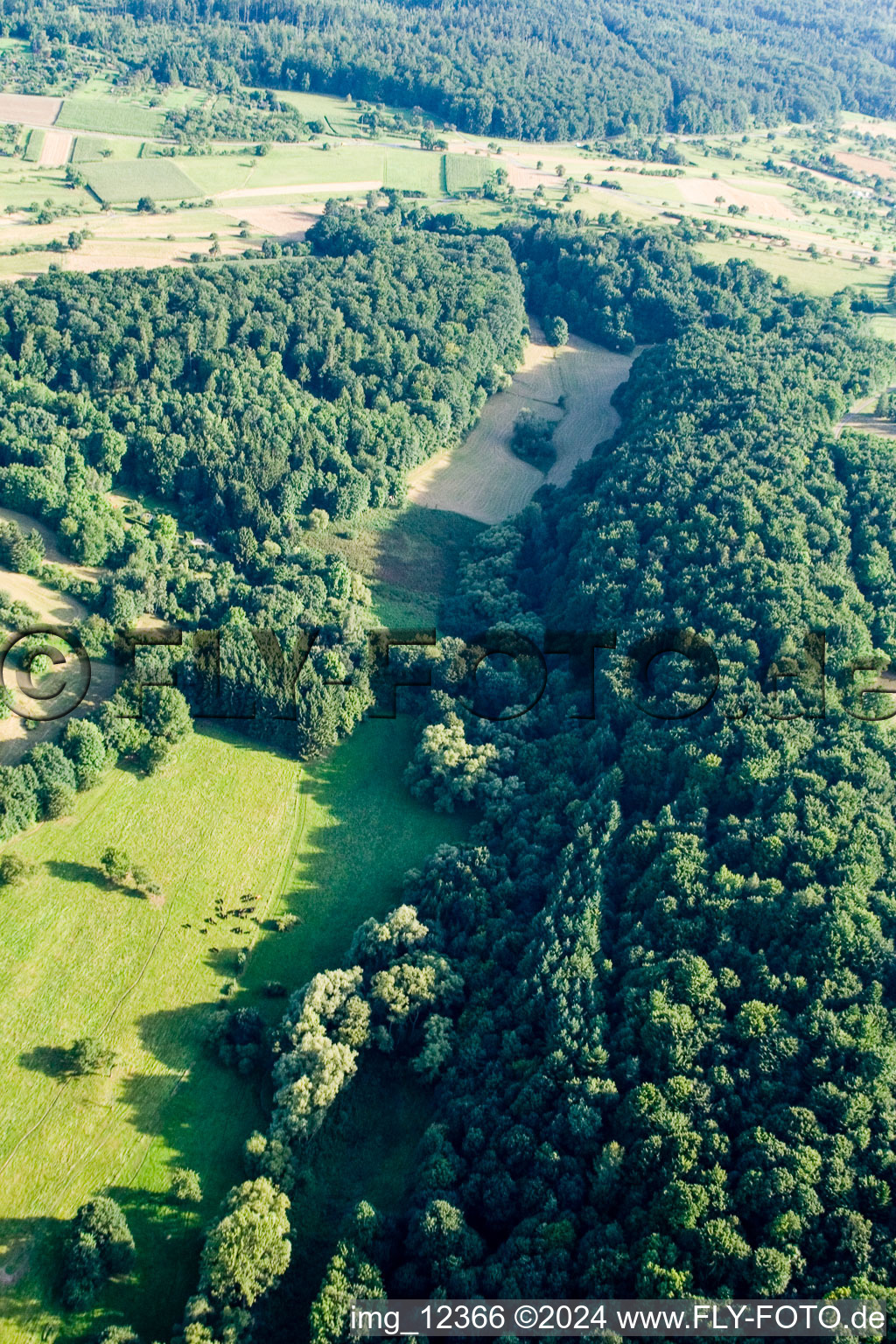 Image drone de Réserve naturelle de Kettelbachtal à le quartier Obernhausen in Birkenfeld dans le département Bade-Wurtemberg, Allemagne