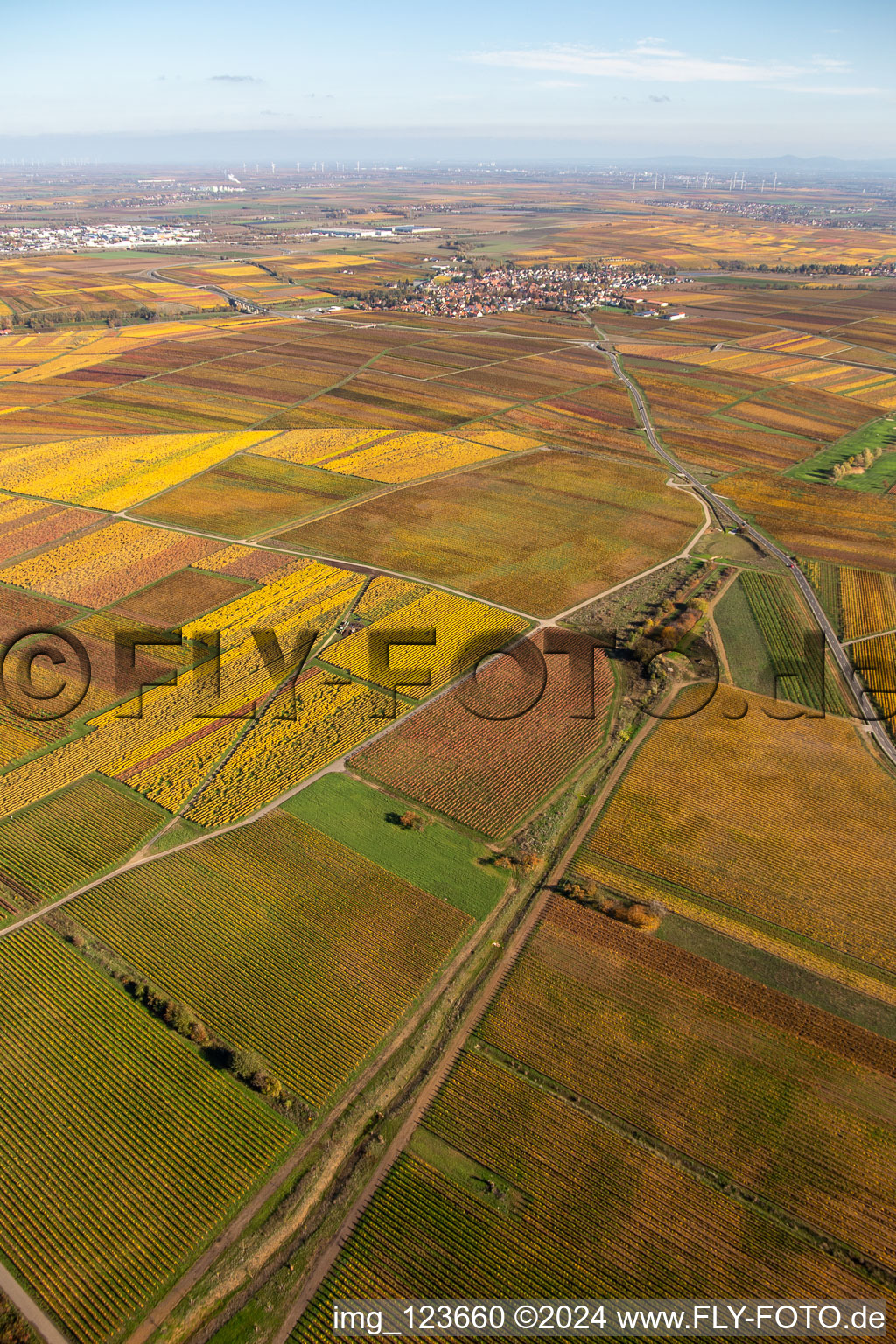 Kirchheim an der Weinstraße dans le département Rhénanie-Palatinat, Allemagne vue du ciel