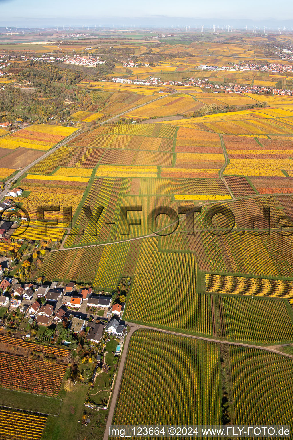 Vue oblique de Kleinkarlbach dans le département Rhénanie-Palatinat, Allemagne