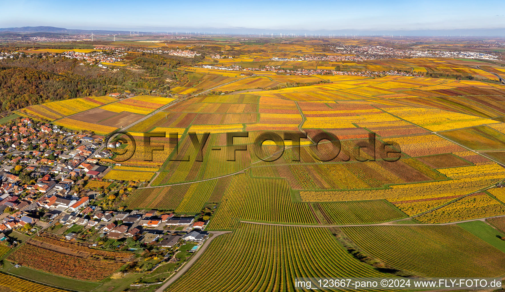 Vue aérienne de Vignobles décolorés automnaux entre Kleinkarlbach et Bobenheim am Berg à le quartier Bobenheim in Bobenheim am Berg dans le département Rhénanie-Palatinat, Allemagne