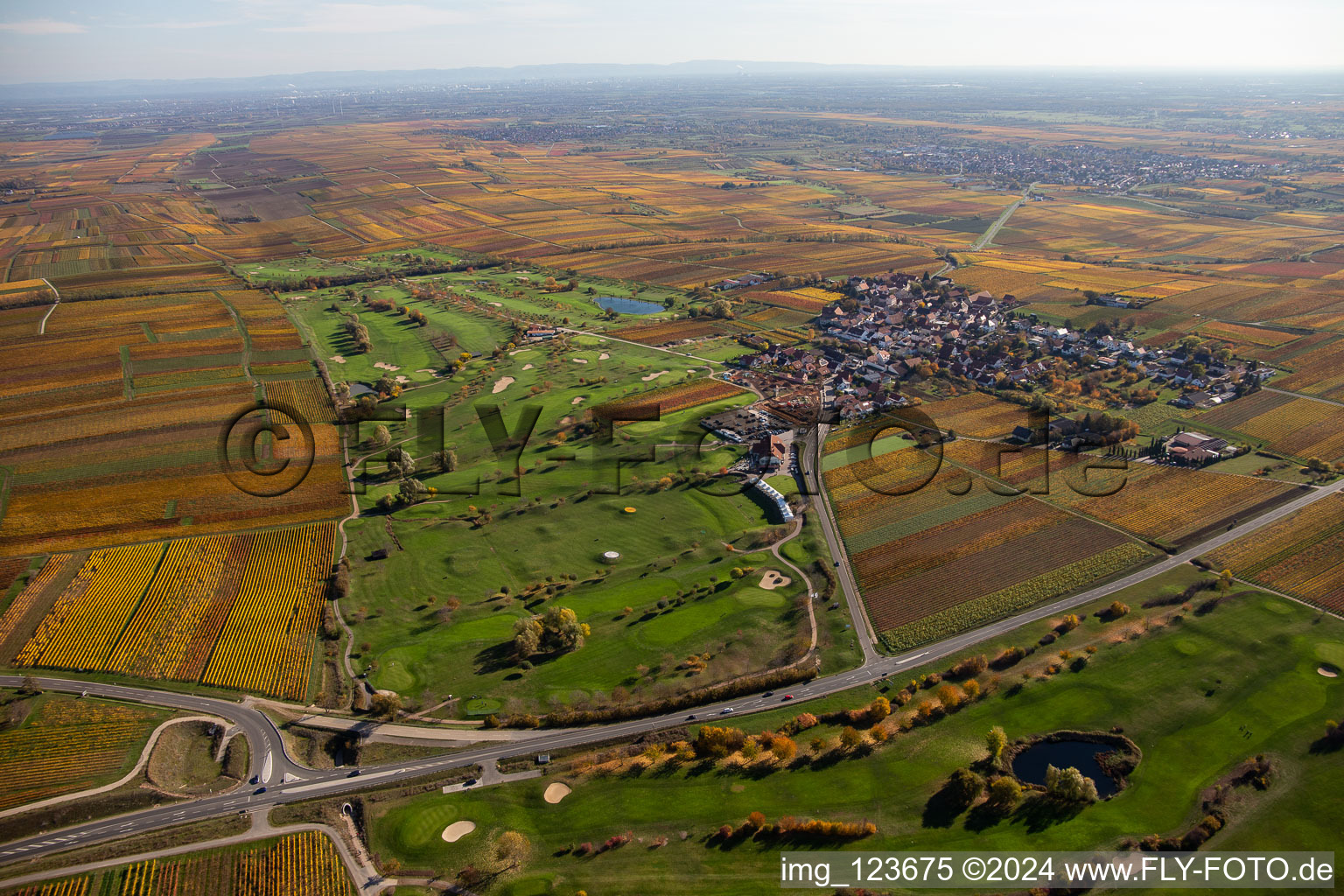 Superficie du terrain de golf Golfgarten Deutsche Weinstraße - Dackenheim - GOLF absolu à Dackenheim dans le département Rhénanie-Palatinat, Allemagne depuis l'avion