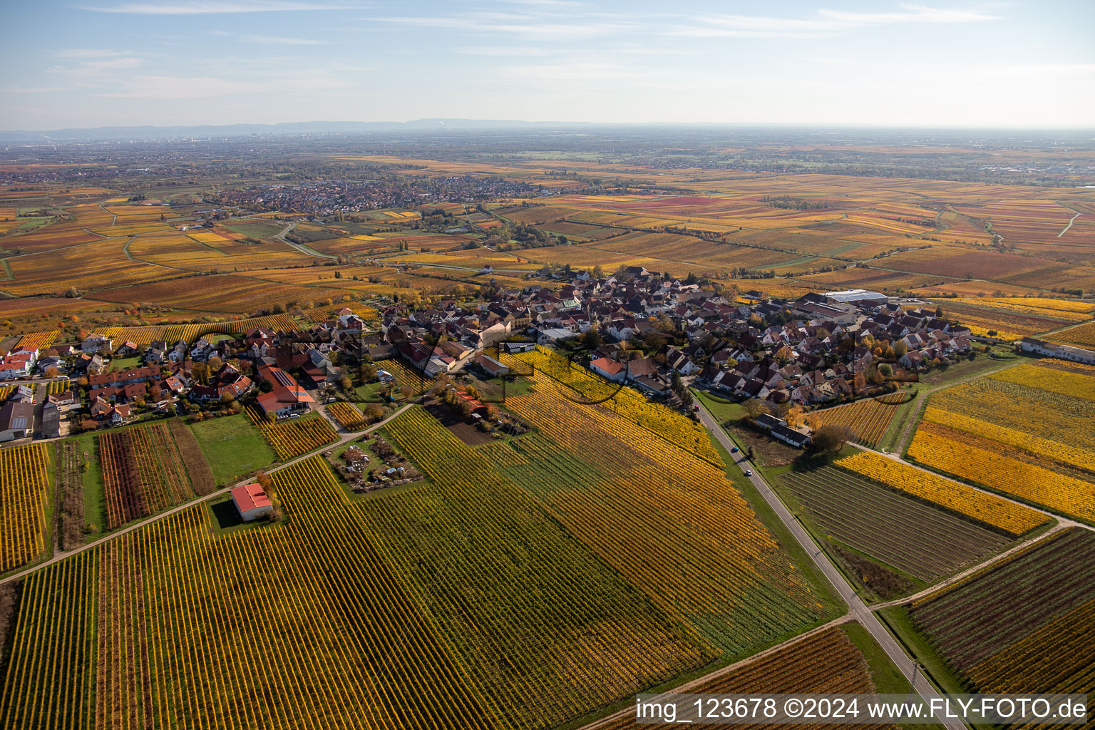 Vue aérienne de Vue sur la végétation automnale décolorée des vignes autour du village vigneron à le quartier Herxheim in Herxheim am Berg dans le département Rhénanie-Palatinat, Allemagne