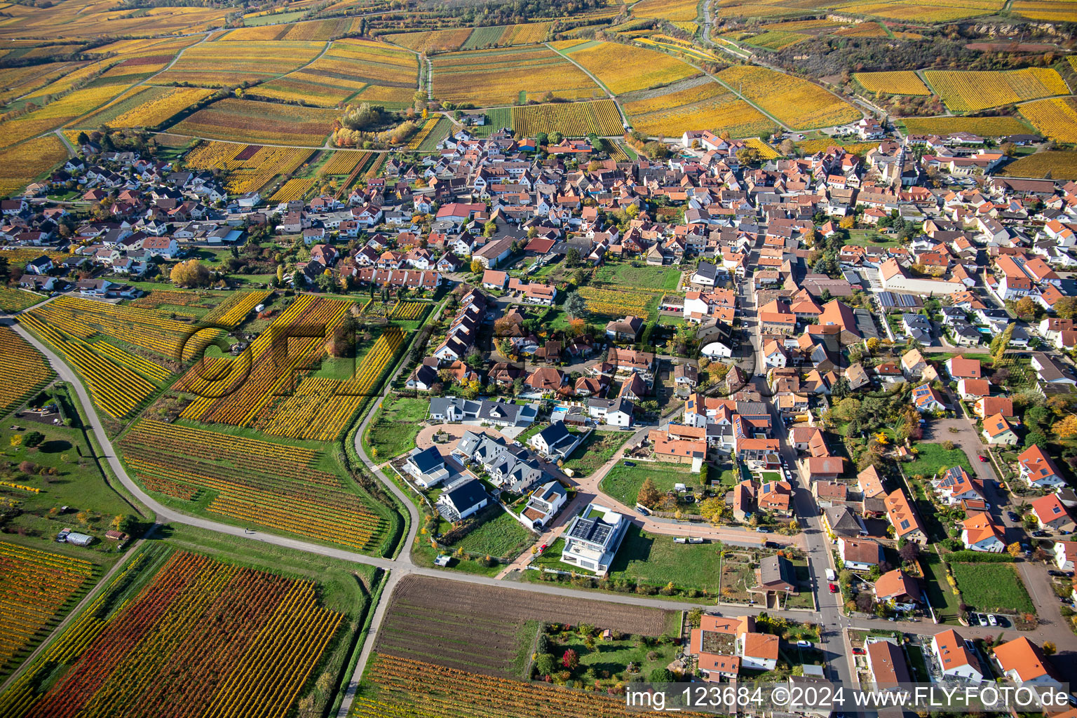 Vue aérienne de Vue sur la végétation automnale décolorée des vignobles autour du village viticole de Kallstadt à le quartier Ungstein in Bad Dürkheim dans le département Rhénanie-Palatinat, Allemagne