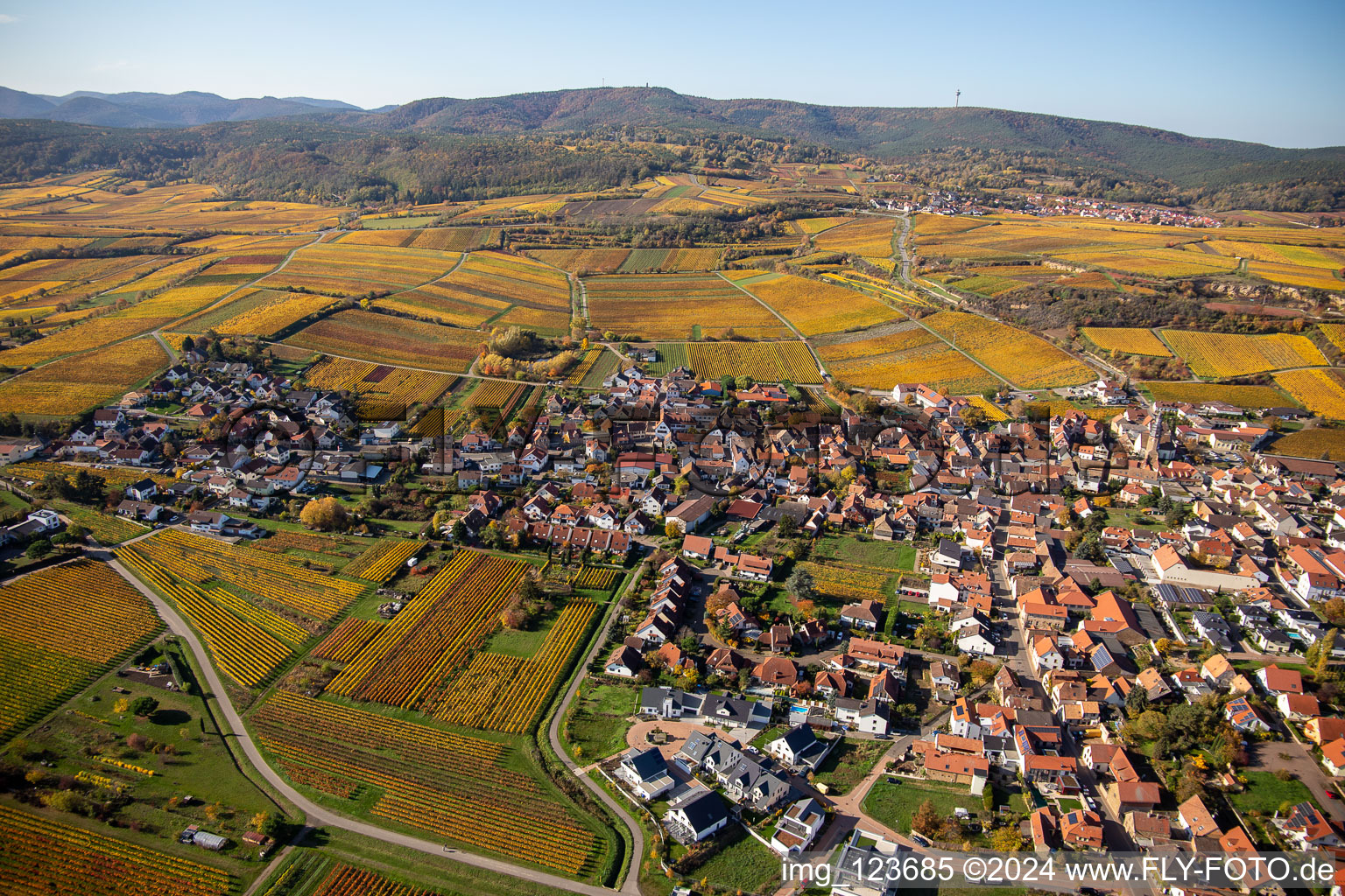 Photographie aérienne de Vue sur la végétation automnale décolorée des vignobles autour du village viticole de Kallstadt à le quartier Ungstein in Bad Dürkheim dans le département Rhénanie-Palatinat, Allemagne