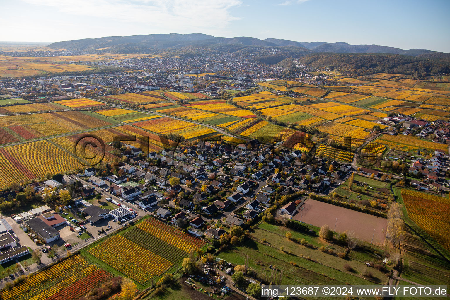 Vue aérienne de Vignobles aux couleurs d'automne en Ungstein à le quartier Ungstein in Bad Dürkheim dans le département Rhénanie-Palatinat, Allemagne