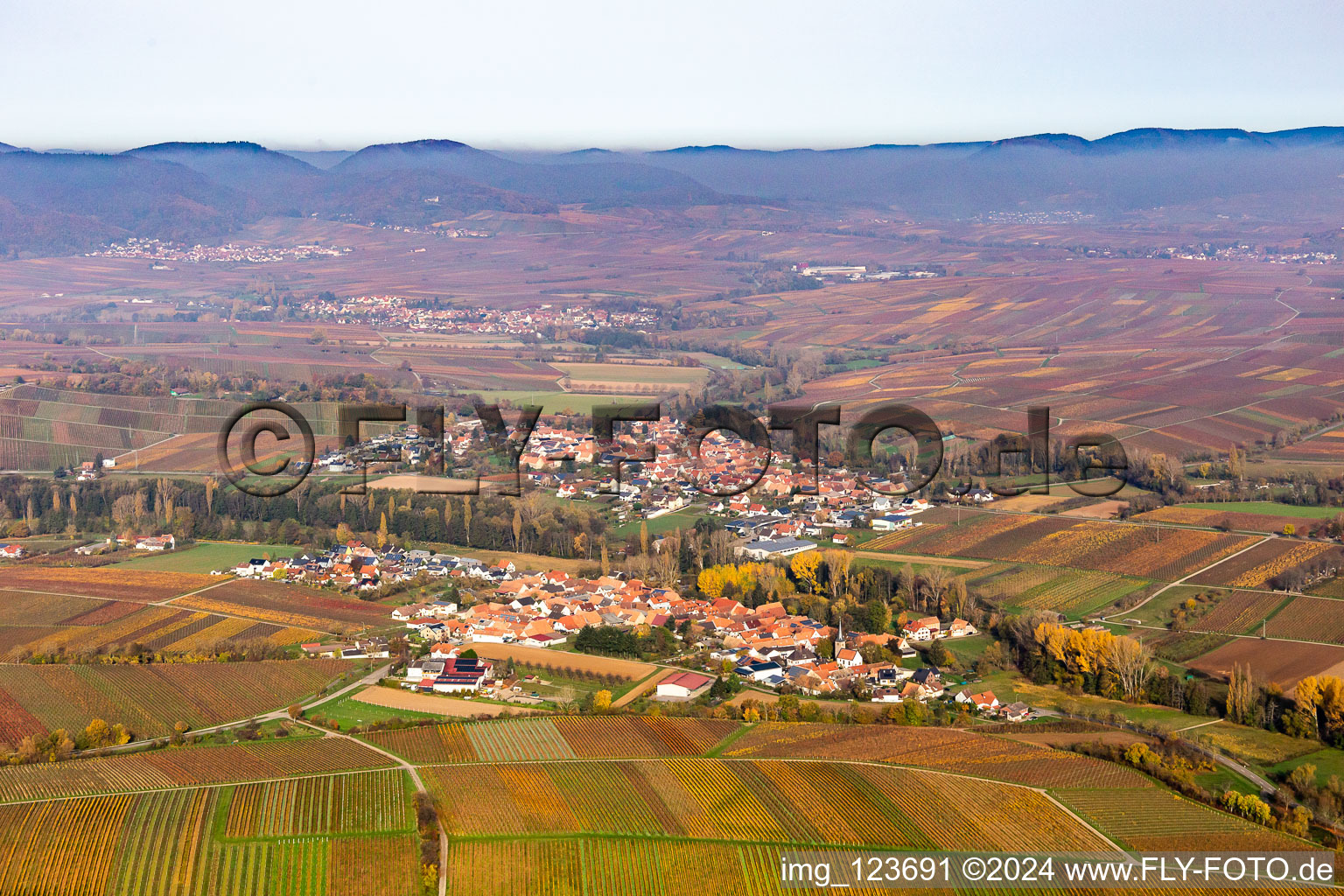 Vue aérienne de Structures du paysage viticole aux couleurs automnales des zones viticoles à le quartier Klingen in Heuchelheim-Klingen dans le département Rhénanie-Palatinat, Allemagne