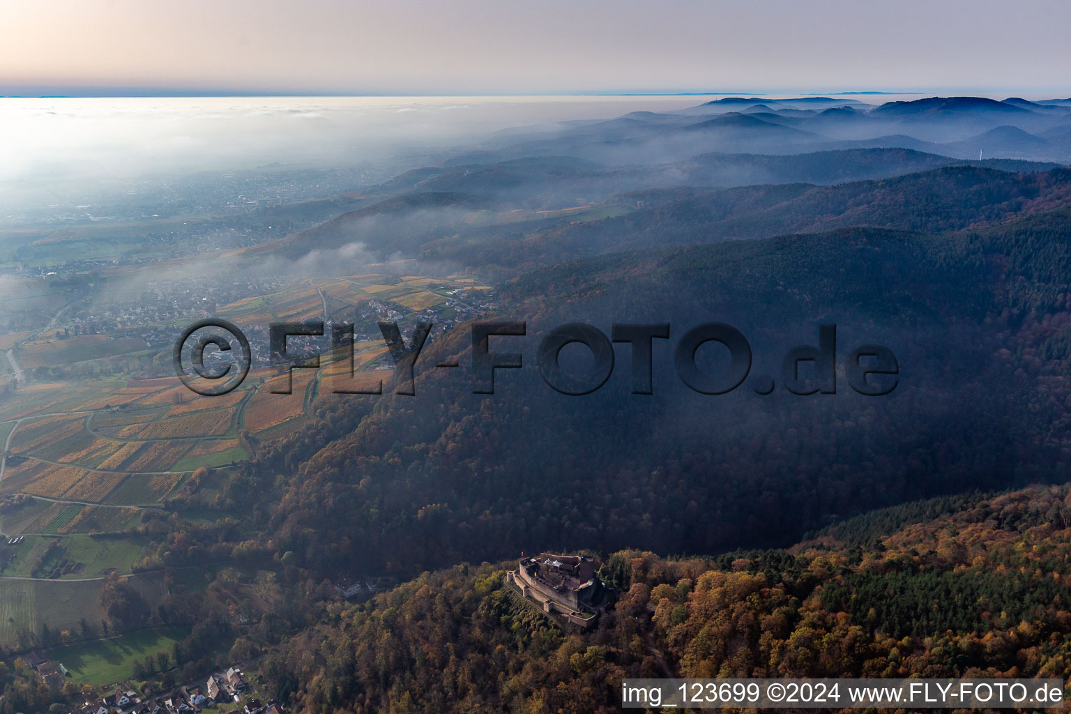 Photographie aérienne de Château de Landeck à Klingenmünster dans le département Rhénanie-Palatinat, Allemagne