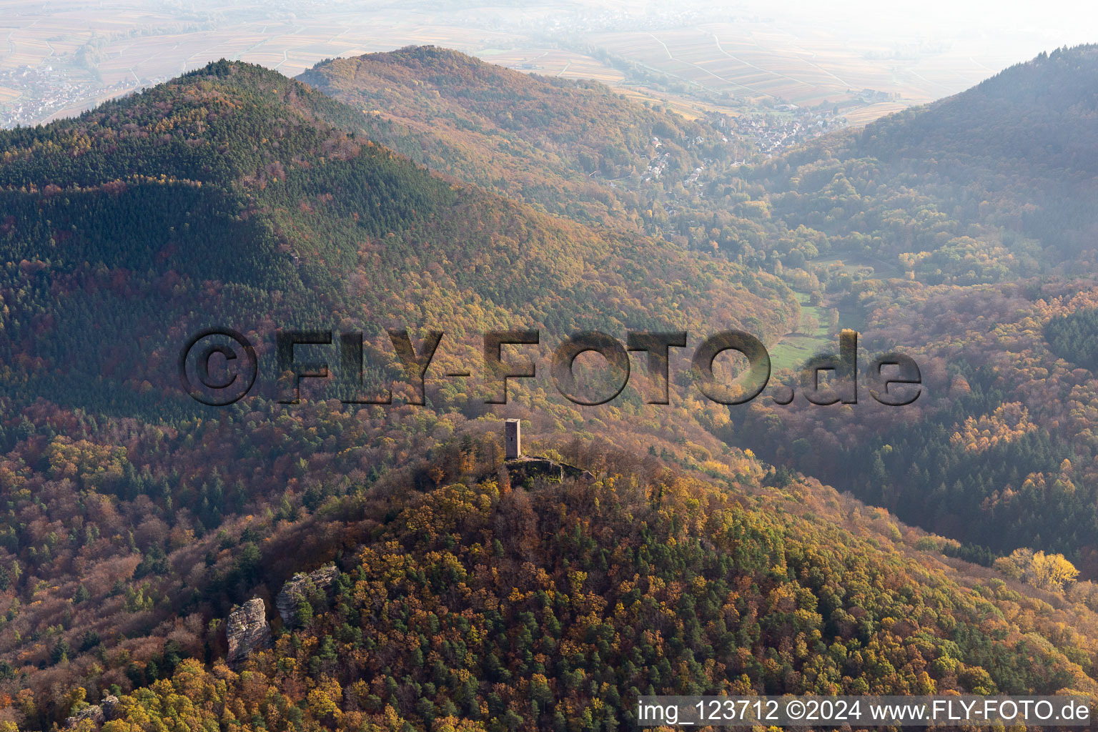 Vue aérienne de Ruines du château de Scharfenberg à Leinsweiler dans le département Rhénanie-Palatinat, Allemagne