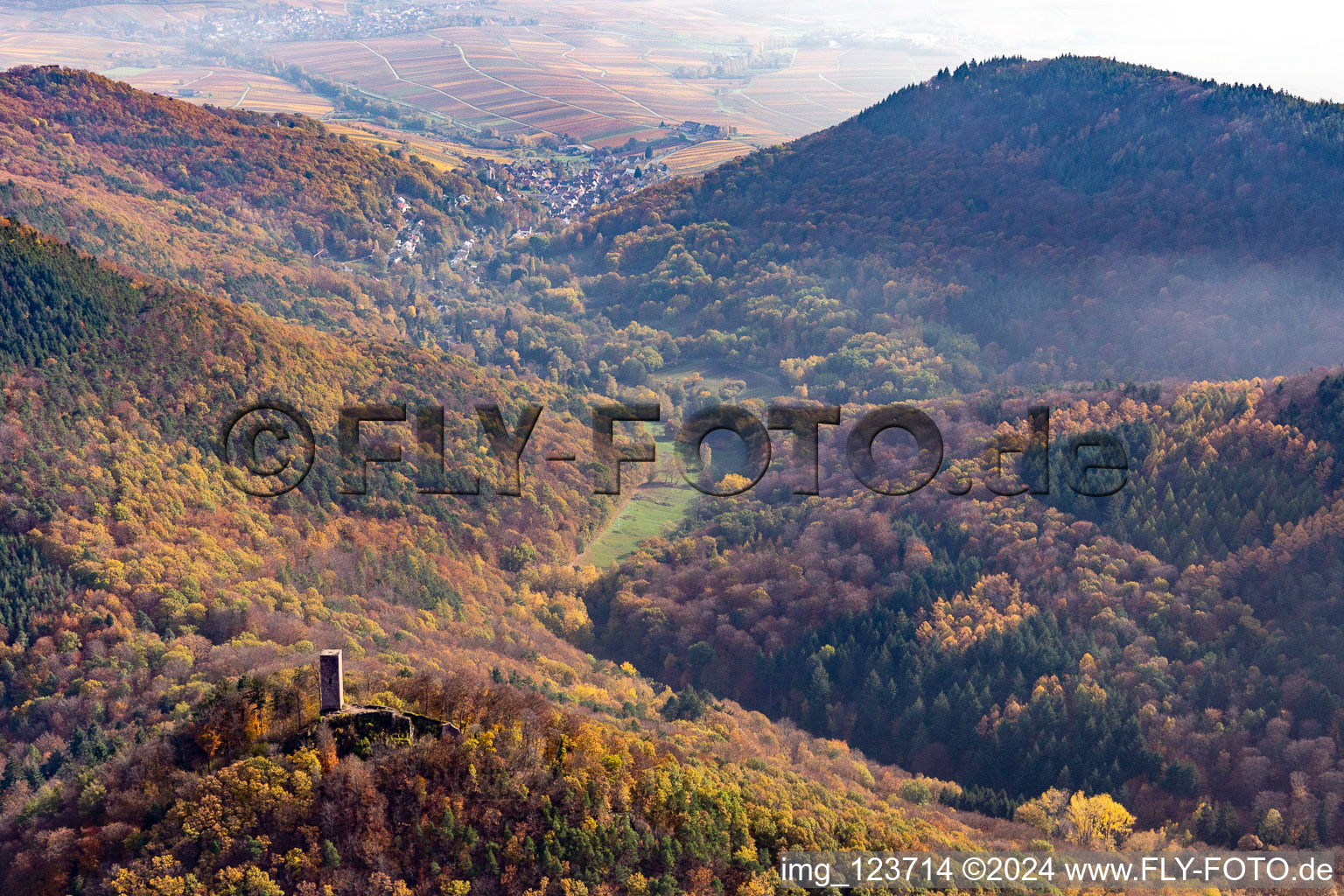 Vue aérienne de Ruines du château de Scharfenberg à Leinsweiler dans le département Rhénanie-Palatinat, Allemagne