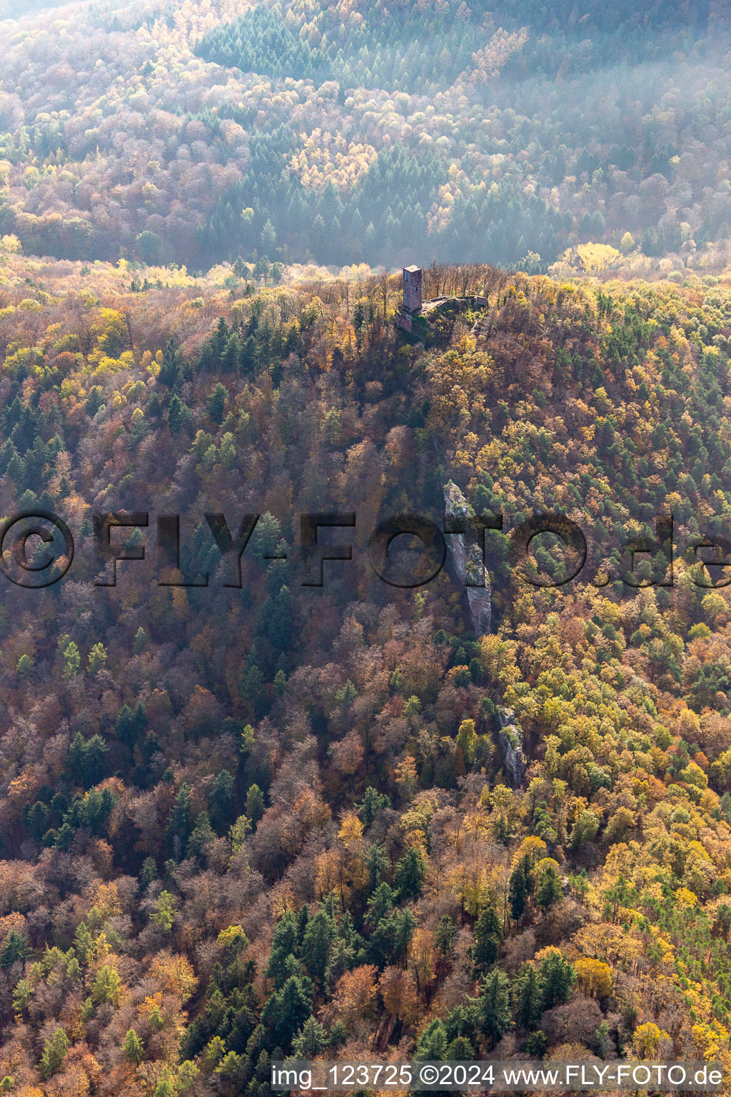 Photographie aérienne de Ruines du château de Scharfenberg à Leinsweiler dans le département Rhénanie-Palatinat, Allemagne