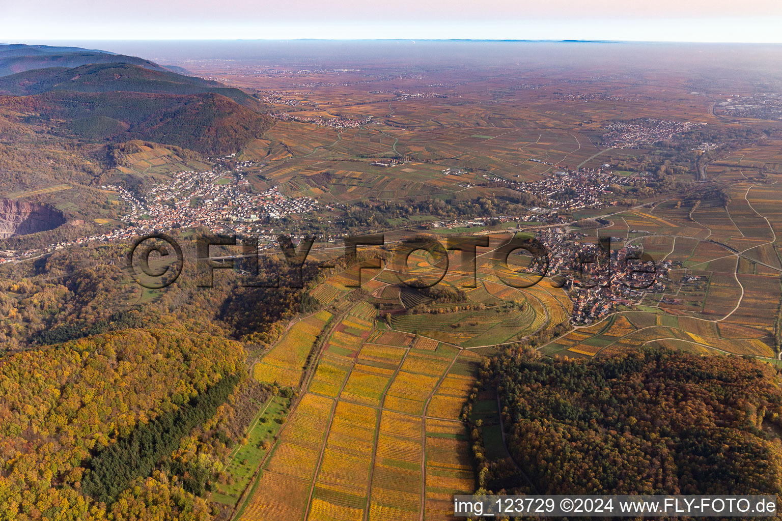 Vue aérienne de Vue aérienne d'automne avec vue sur la plaine du Rhin à l'embouchure de la vallée du Queich entre Birkweiler et Siebeldingen dans le paysage de la vallée du Queich entouré de montagnes à Albersweiler dans le département Rhénanie-Palatinat, Allemagne