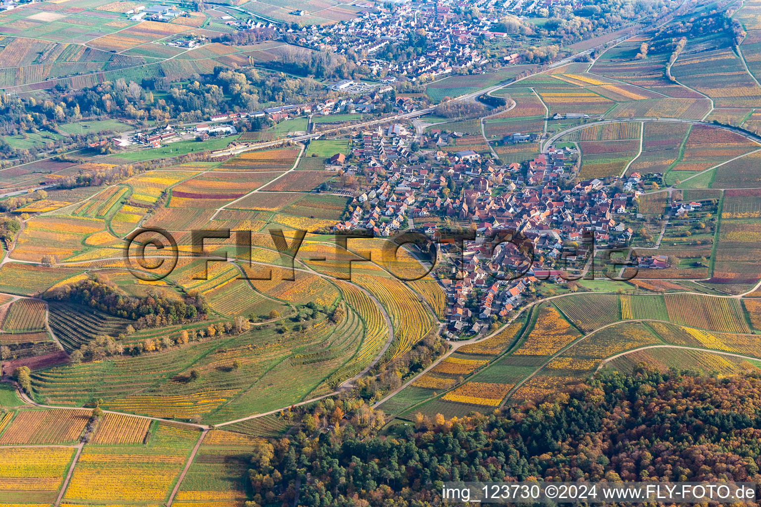 Vue aérienne de Les vignobles de Kastanienbusch aux couleurs automnales entourent la zone habitée du village à Birkweiler dans le département Rhénanie-Palatinat, Allemagne