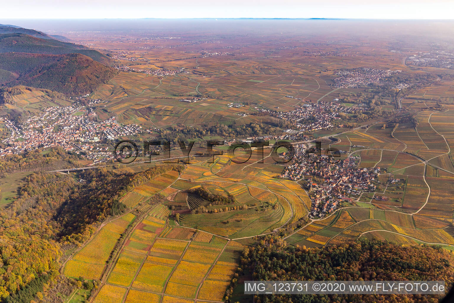 Vue aérienne de Châtaignier à Birkweiler dans le département Rhénanie-Palatinat, Allemagne
