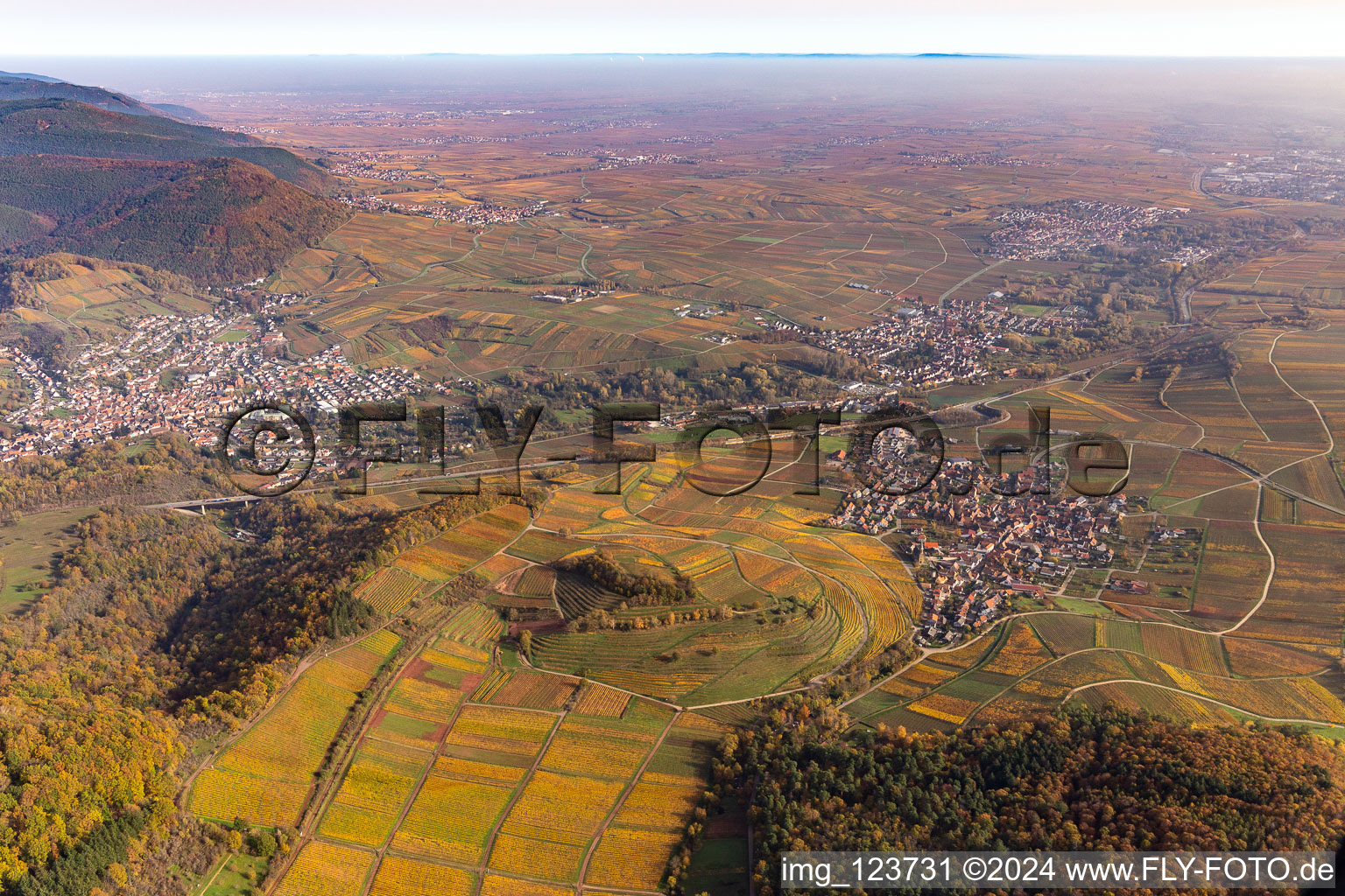 Vue aérienne de Châtaignier à Birkweiler dans le département Rhénanie-Palatinat, Allemagne