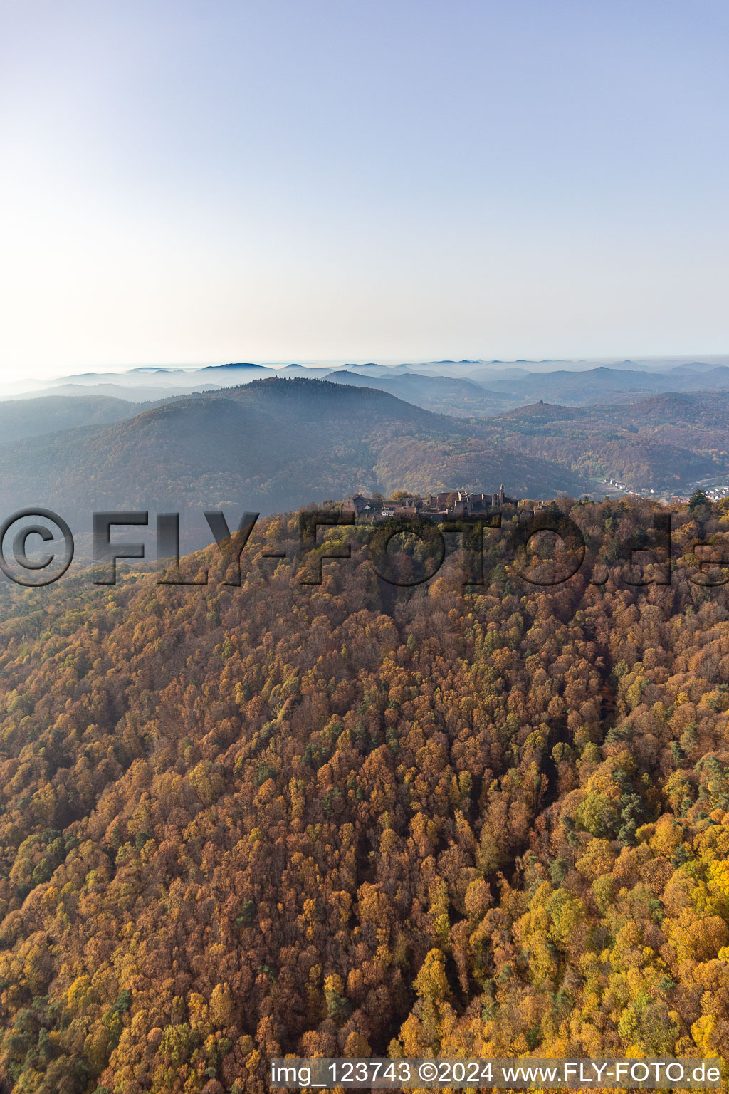 Vue aérienne de Ruines du château de Madenbourg à Eschbach dans le département Rhénanie-Palatinat, Allemagne