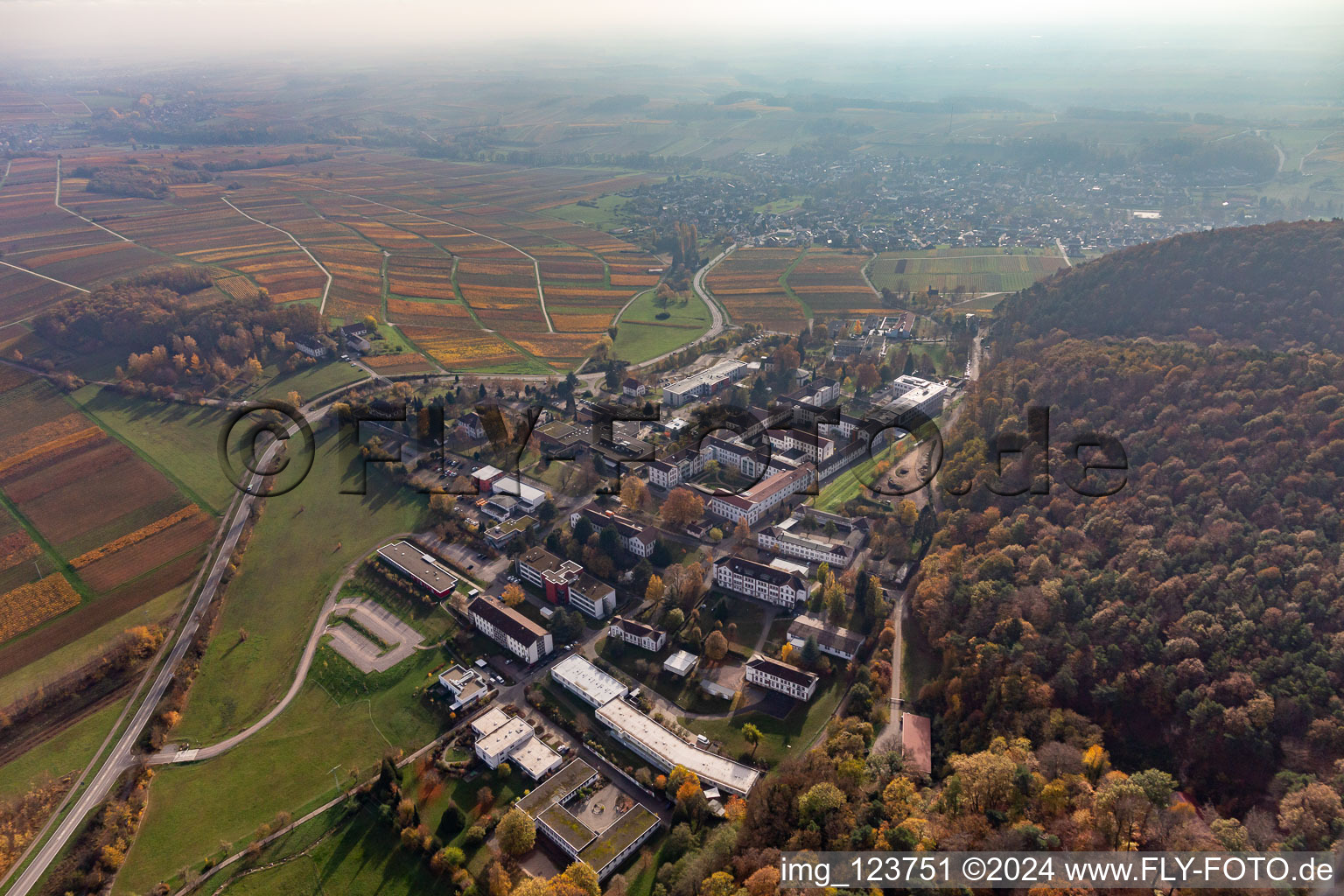 Vue aérienne de Hôpital Palatinat de Psychiatrie à Klingenmünster dans le département Rhénanie-Palatinat, Allemagne