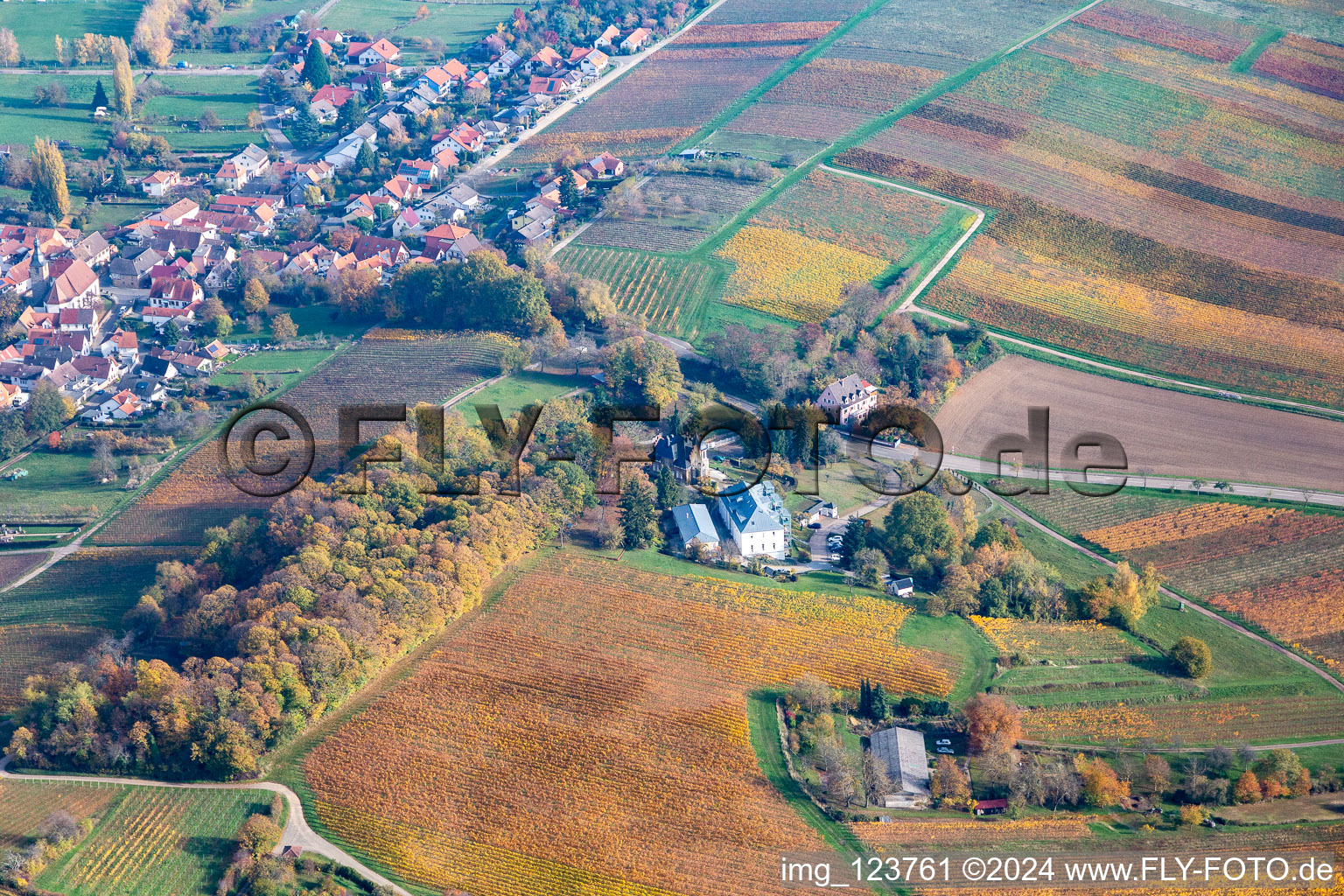 Vue aérienne de Quartier Pleisweiler in Bad Bergzabern dans le département Rhénanie-Palatinat, Allemagne