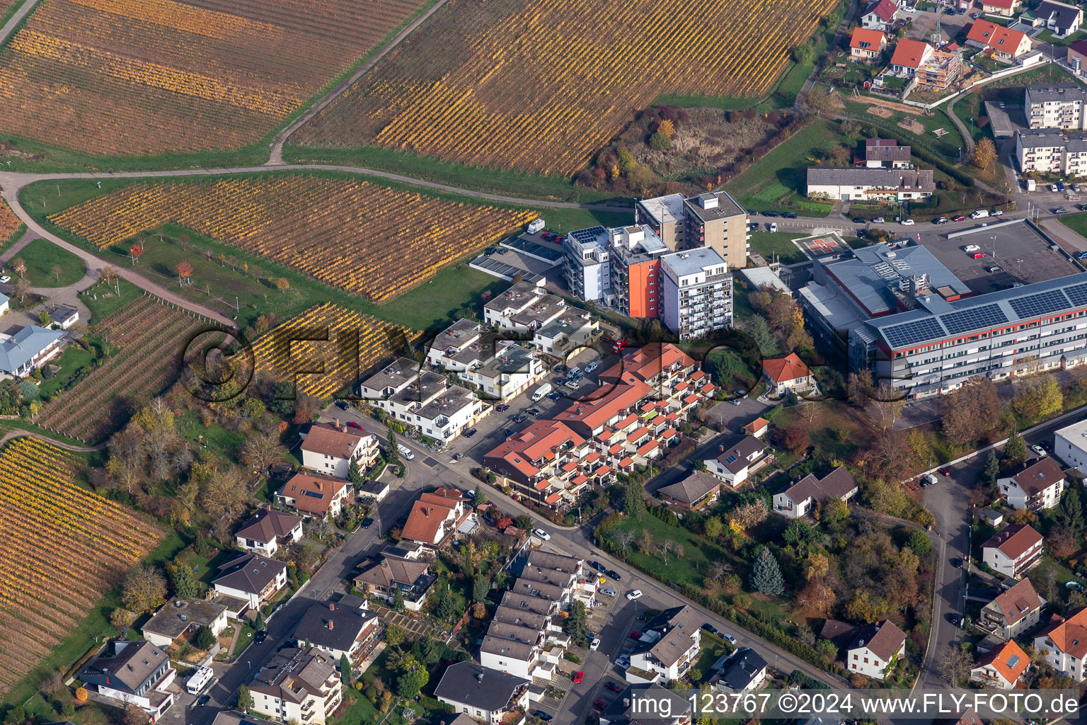 Vue aérienne de Hôpital Landau à Bad Bergzabern dans le département Rhénanie-Palatinat, Allemagne