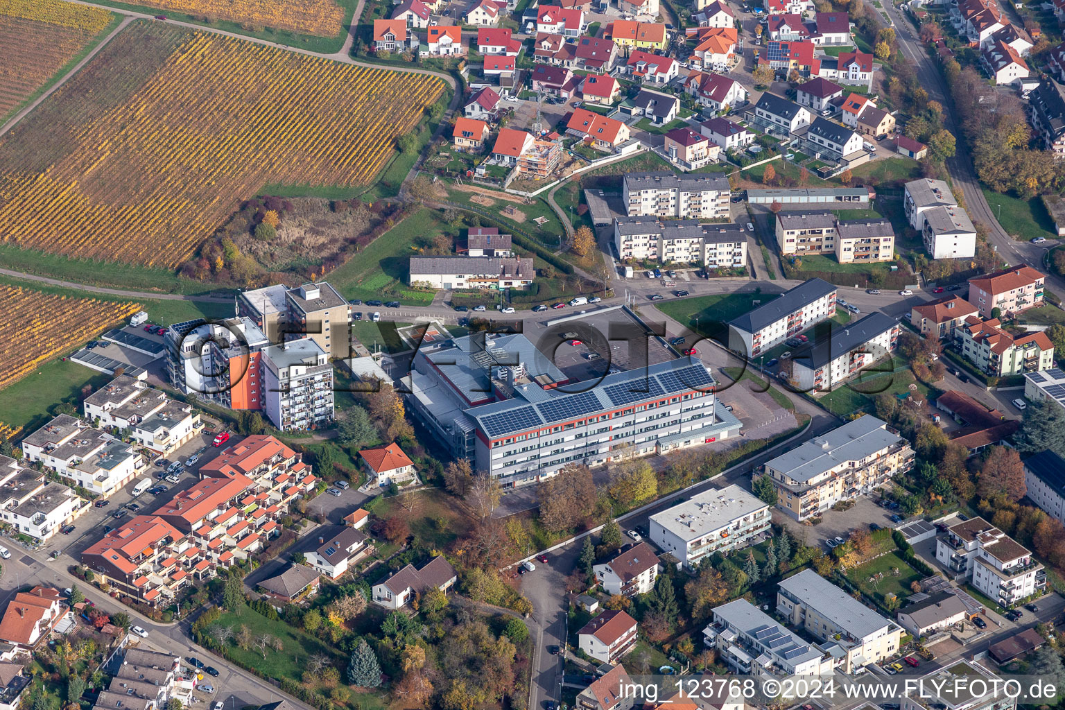 Vue aérienne de Terrain de l'hôpital Klinikum Landau - Südliche Weinstraße GmbH à Bad Bergzabern dans le département Rhénanie-Palatinat, Allemagne