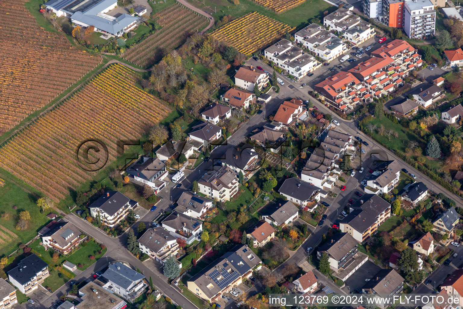 Vue aérienne de Pfalzgrafenstrasse Saarstr à Bad Bergzabern dans le département Rhénanie-Palatinat, Allemagne